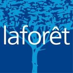 LAFOR&Ecirc;T IMMOBILIER RIS CONSEIL